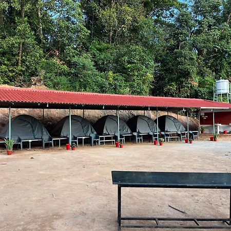 Готель The Nest Bettathur Coorg Campsite Мадікері Екстер'єр фото